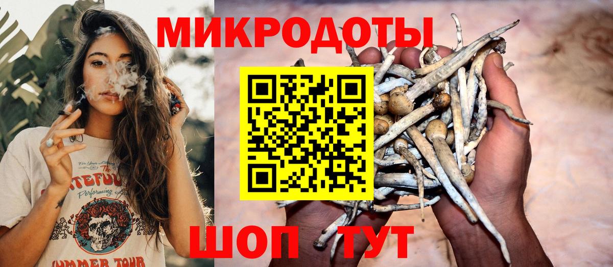 Псилоцибиновые грибы Cubensis  Псилоцибиновые грибы ЛСД  Вход с VPN  купить наркоту  Губаха 